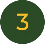 3 gelb grün