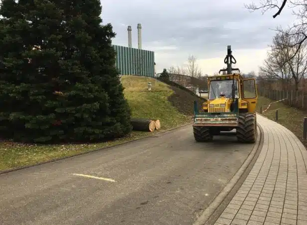 baumfällung maschine