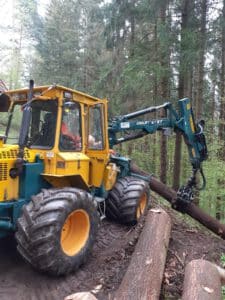 baumfällung maschine lehmann baum und garten