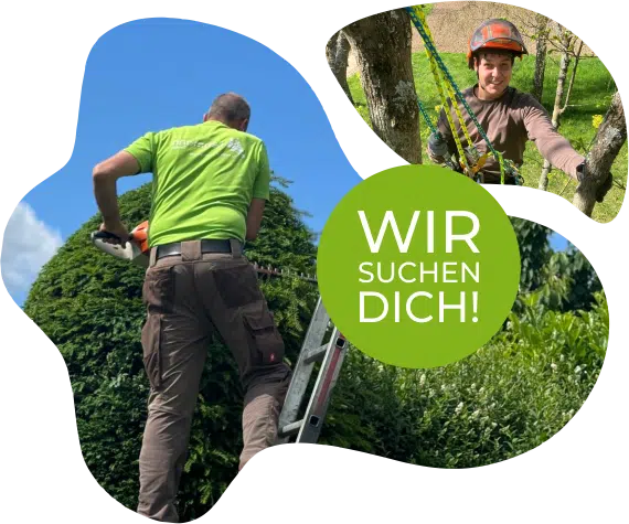 Wir suchen dich